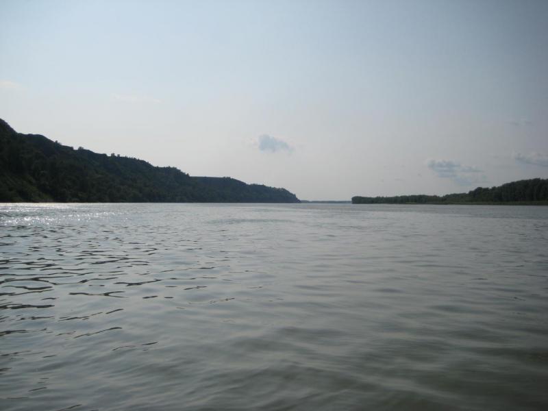 Прикрепленное изображение: IMG_7878.JPG