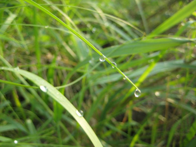 Прикрепленное изображение: IMG_7897.JPG