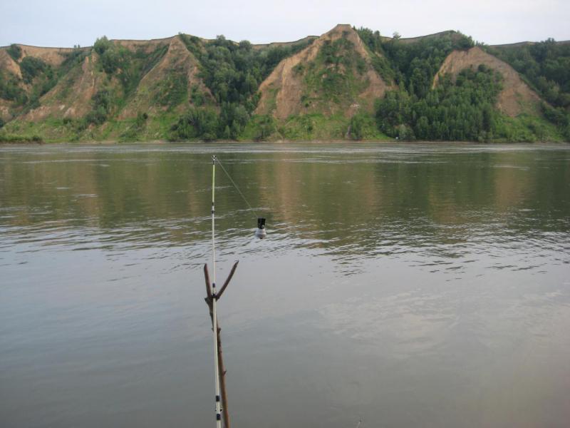 Прикрепленное изображение: IMG_7883.JPG