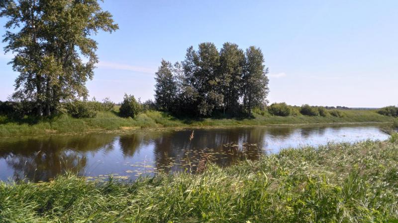 Прикрепленное изображение: P_20190706_102358_HDR.jpg
