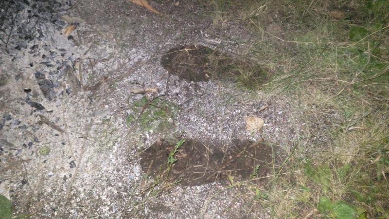 Прикрепленное изображение: P_20190720_002142.jpg