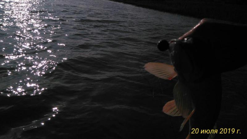 Прикрепленное изображение: P_20190720_083156_p.jpg