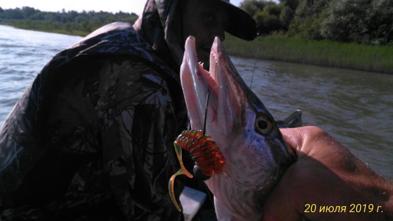 Прикрепленное изображение: P_20190720_085849_p.jpg