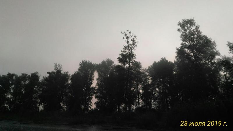 Прикрепленное изображение: P_20190728_060745_p.jpg
