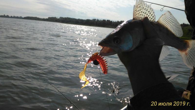 Прикрепленное изображение: P_20190720_090955_p.jpg