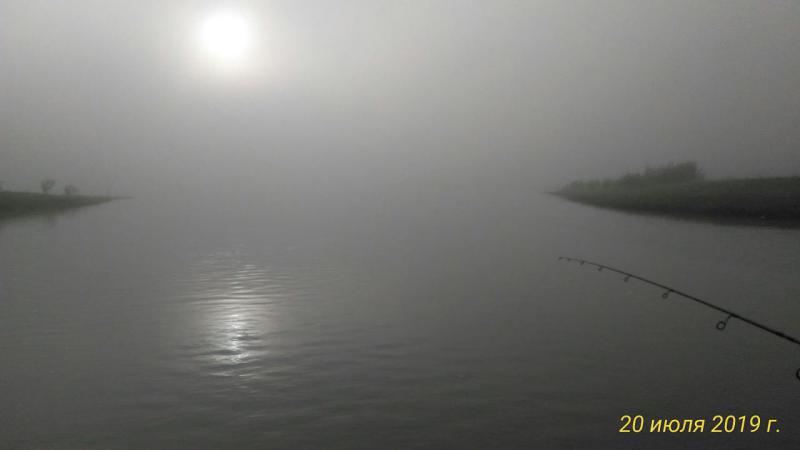 Прикрепленное изображение: P_20190720_070524_p.jpg