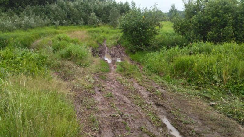 Прикрепленное изображение: P_20190719_191701_HDR.jpg