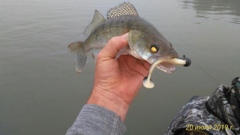 Прикрепленное изображение: P_20190720_060221_p.jpg