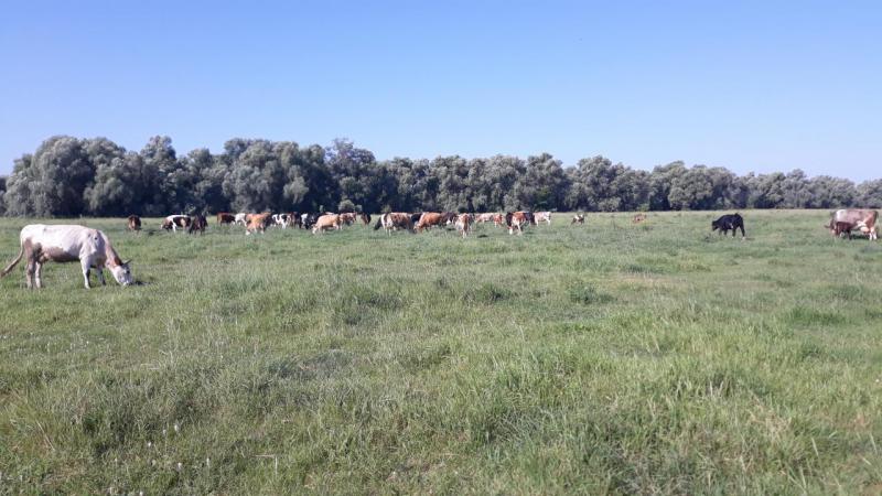 Прикрепленное изображение: 20190713_093142.jpg