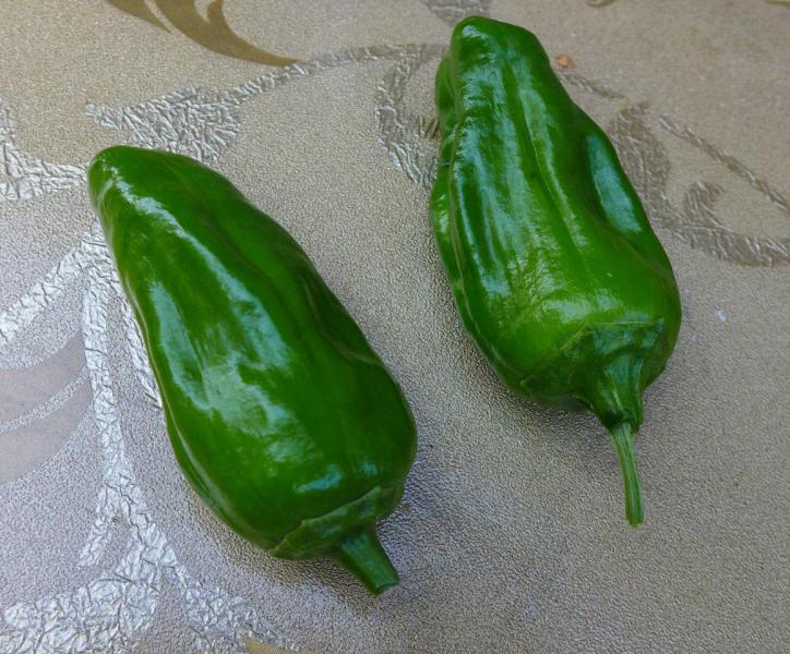 Прикрепленное изображение: без имени-10 - копия.jpg