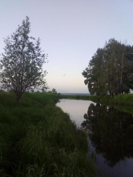 IMG_20190705_052323.jpg