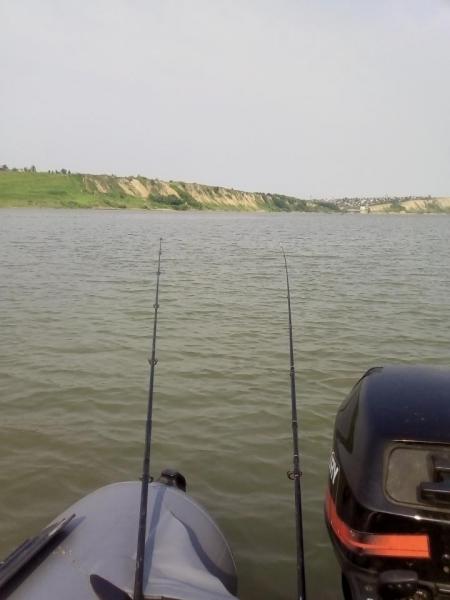 IMG_20190716_092546.jpg