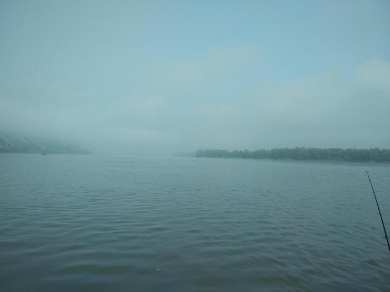 IMG_20190727_100200.jpg