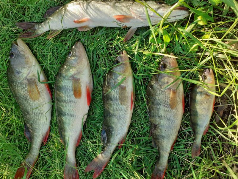 20190706_081206.jpg