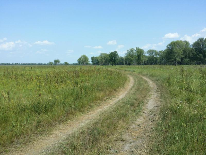 20190728_143703_Richtone(HDR).jpg