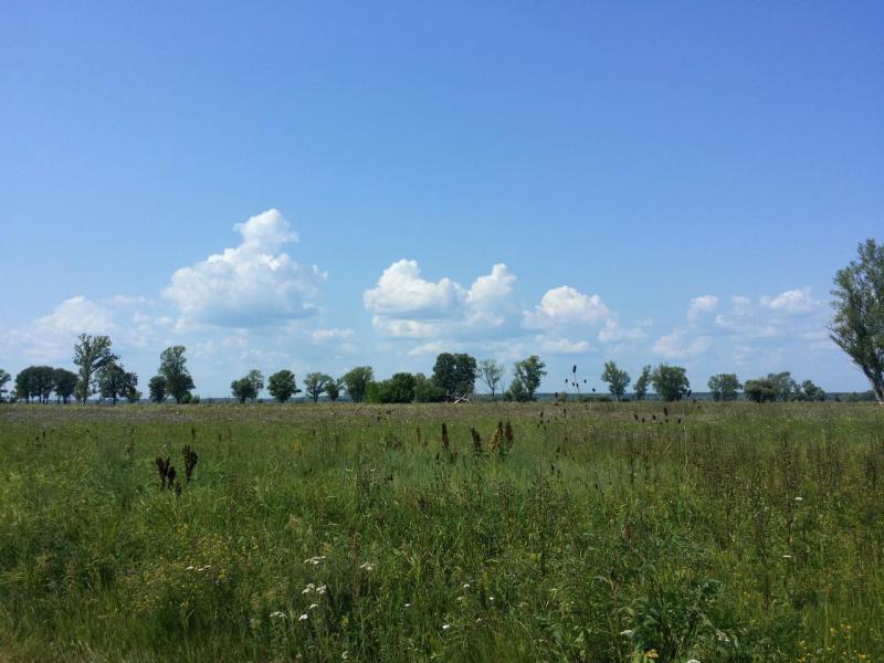 20190728_143624_Richtone(HDR).jpg