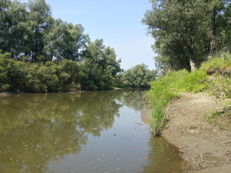 20190728_114128_Richtone(HDR).jpg