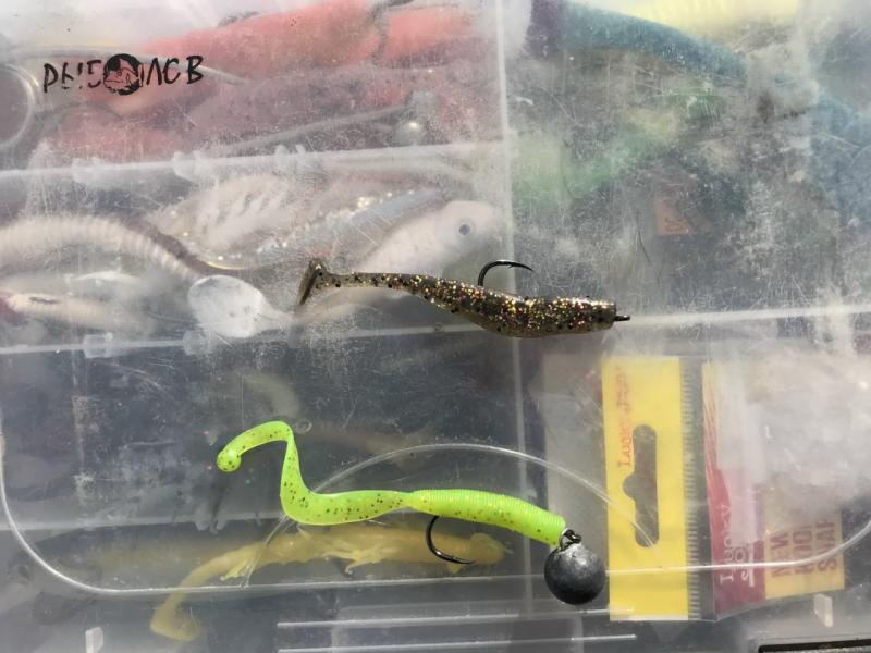 Прикрепленное изображение