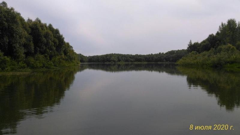 Прикрепленное изображение: P_20200708_153715_p.jpg