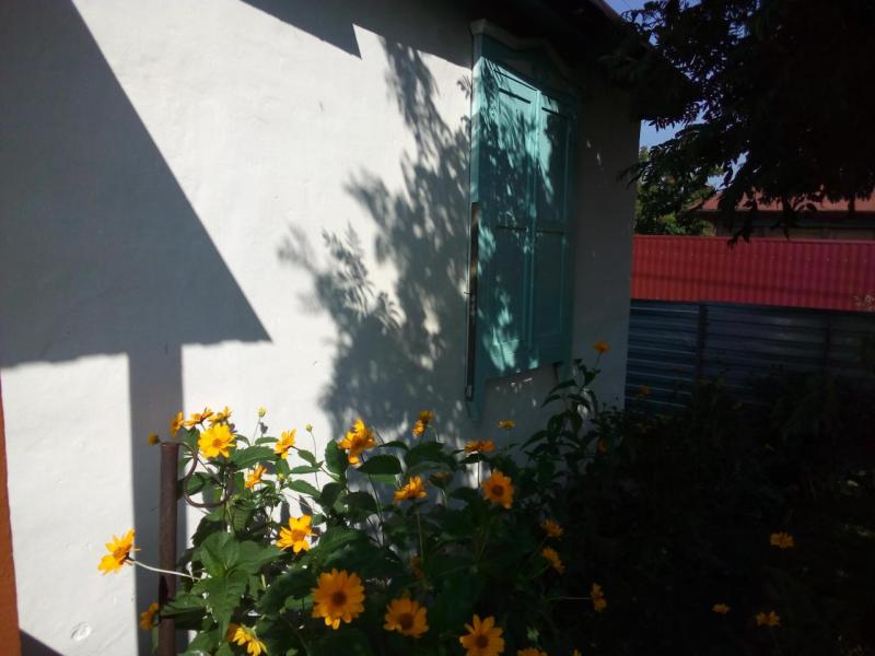 IMG_20200708_100126.jpg