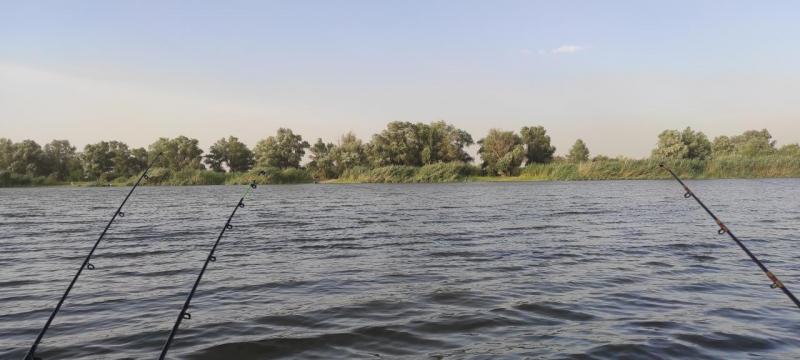 IMG_20210723_182704.jpg