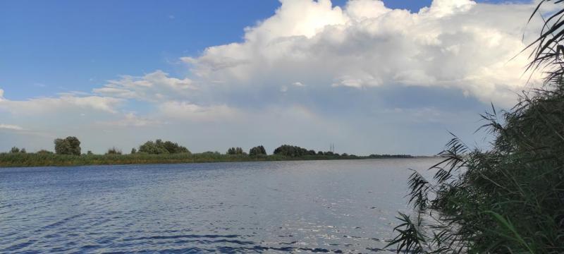 IMG_20210723_174712.jpg