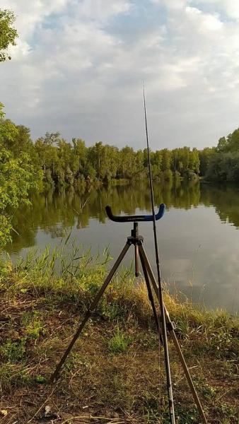 2020-07-31 18-35-41.JPG