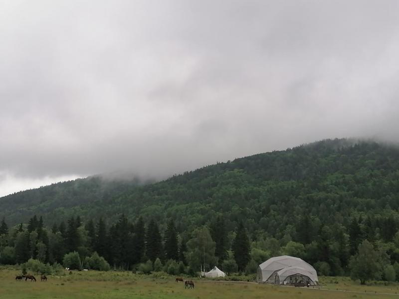 IMG_20220719_144804.jpg