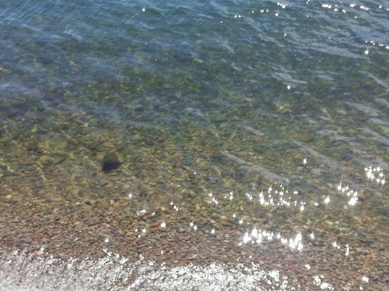 IMG_20220718_144355.jpg