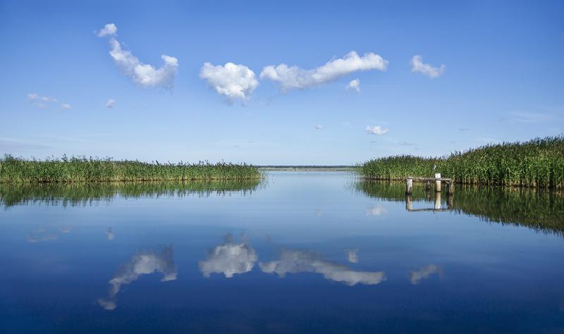 DSC01303ааа.jpg