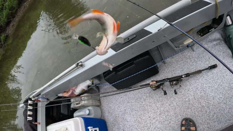 Прикрепленное изображение: photo_2023-07-12_14-08-23.jpg