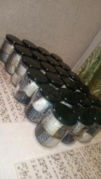 IMG-20230725-WA0023.jpeg