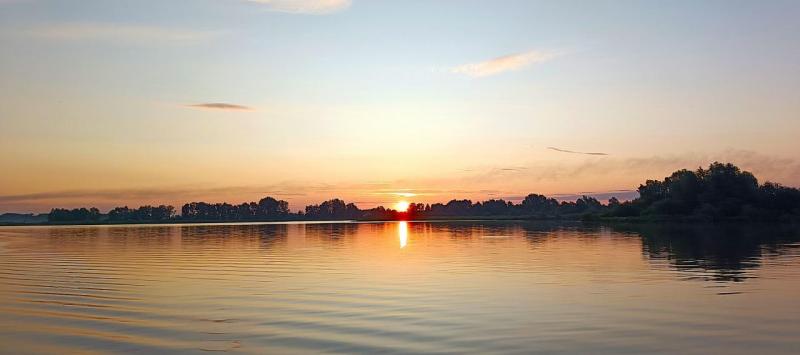 IMG_20250630_051629_232.jpg
