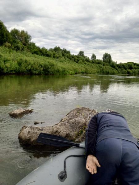 Прикрепленное изображение