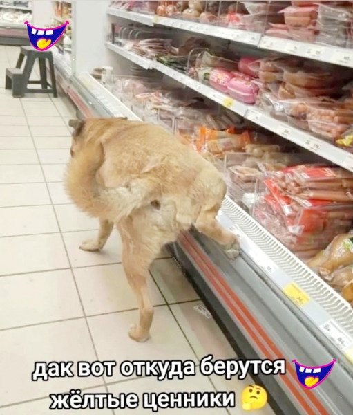 желтый ценник.jpg