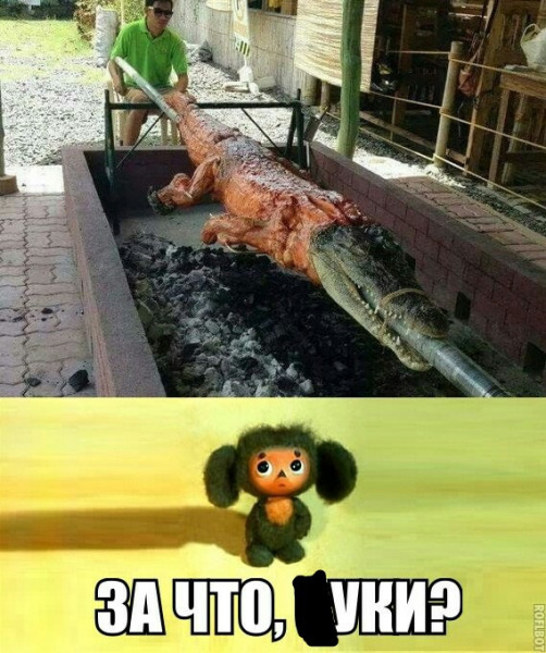 гена.jpg