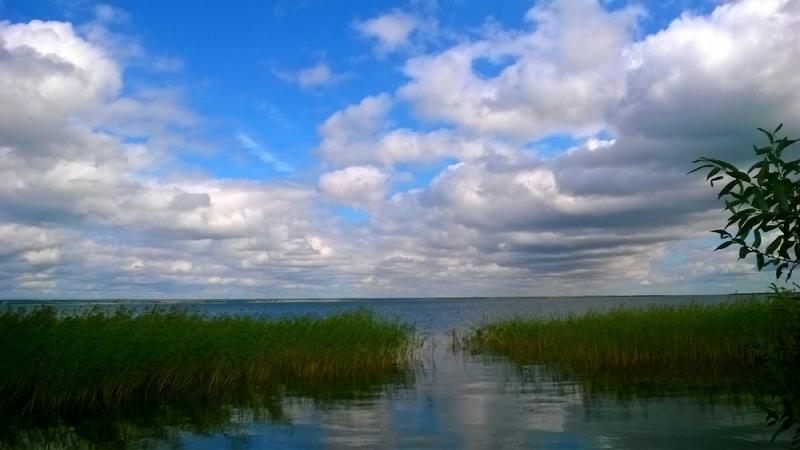 Прикрепленное изображение