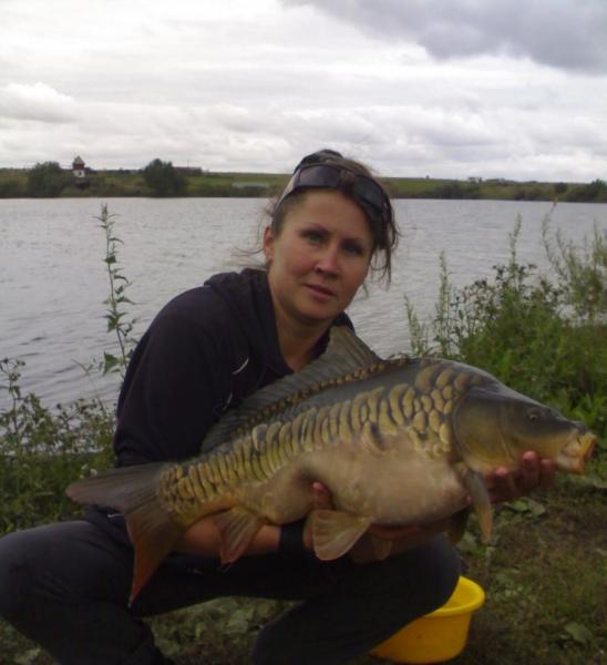 Прикрепленное изображение