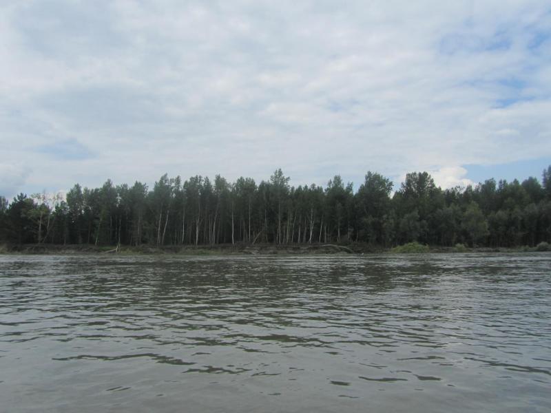 IMG_5374.JPG
