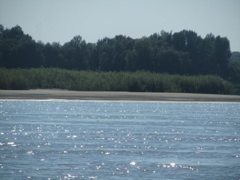 IMG_5401.JPG