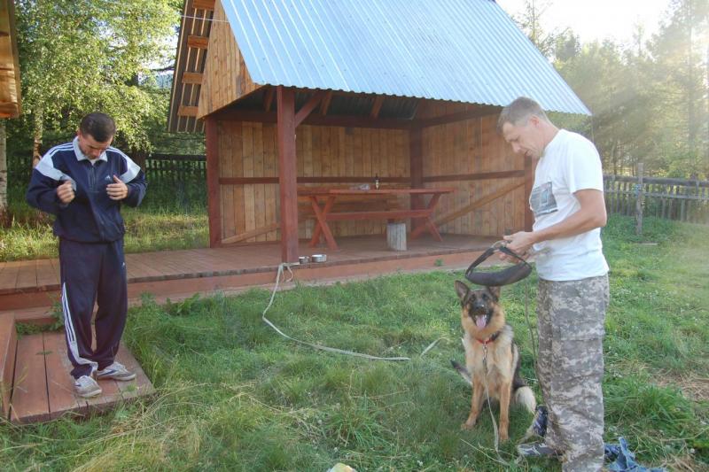 Прикрепленное изображение