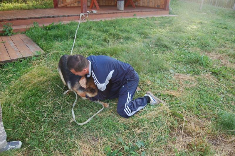 Прикрепленное изображение