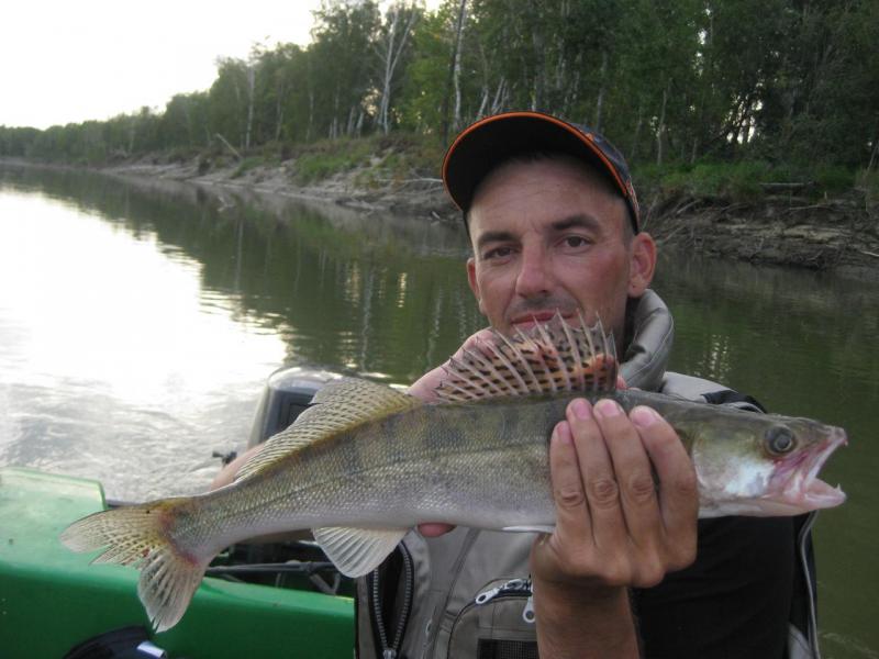 Прикрепленное изображение