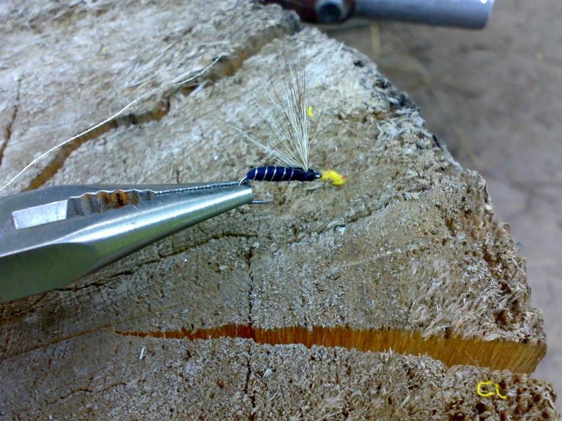 Прикрепленное изображение