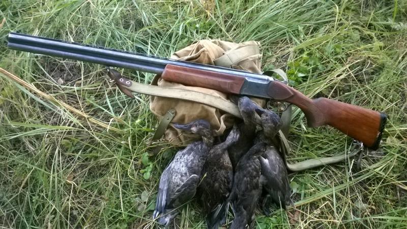 Прикрепленное изображение