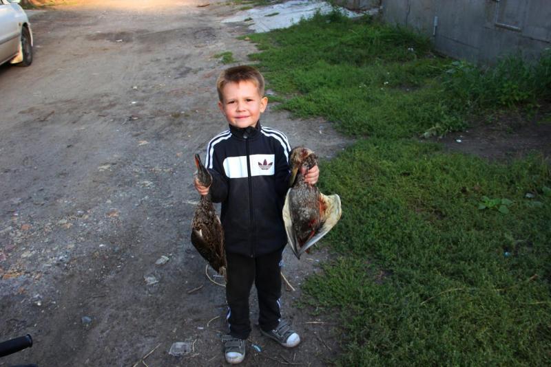 Прикрепленное изображение