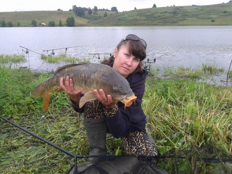 Прикрепленное изображение