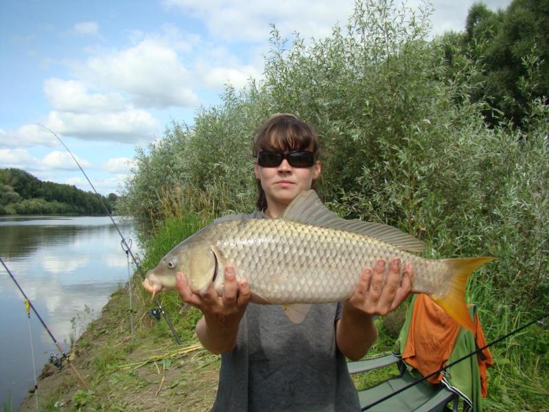 Прикрепленное изображение