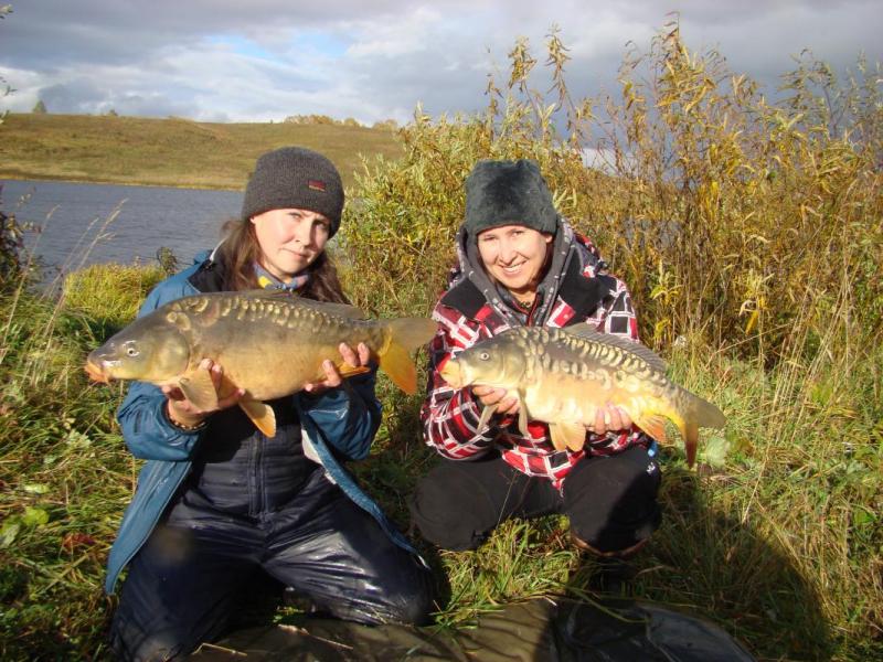 Прикрепленное изображение