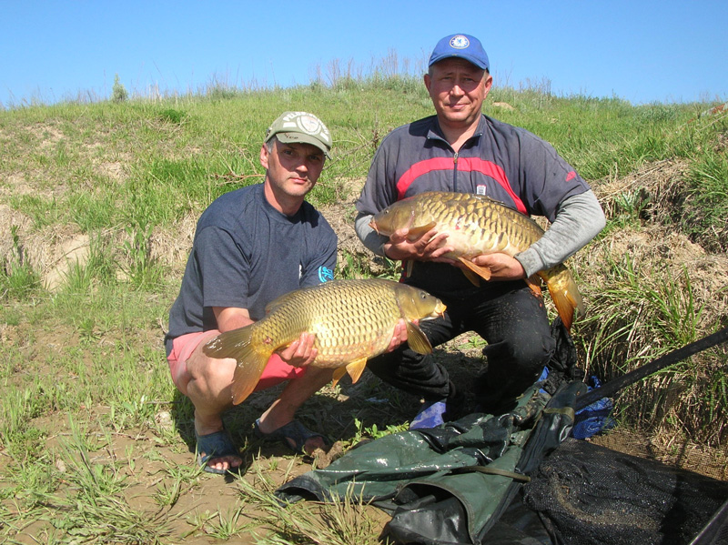 Прикрепленное изображение